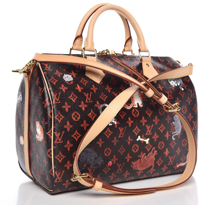 Louis Vuitton Catogram Speedy Bandouliere 30 Marron 4 of 11