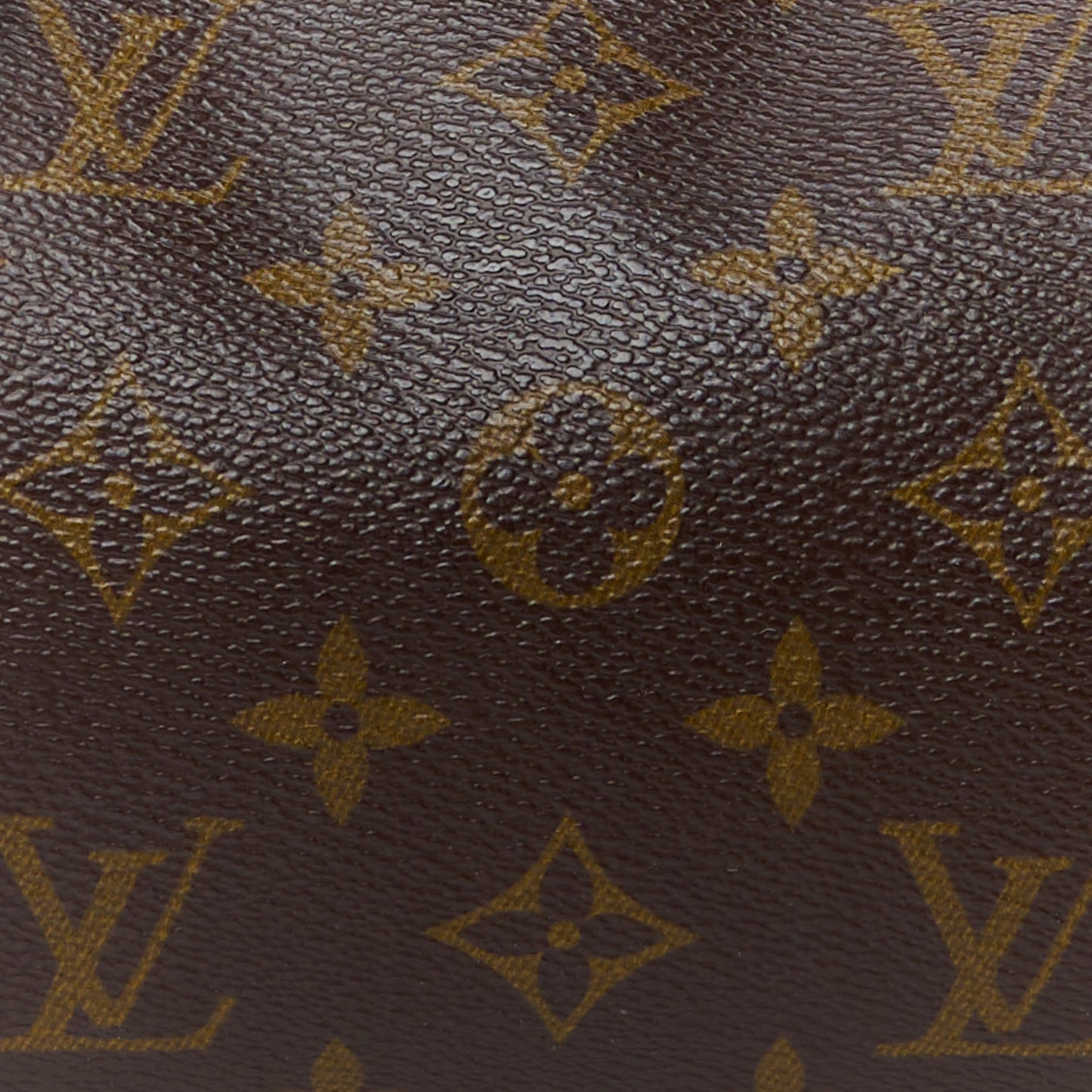Monogram Papillon 26