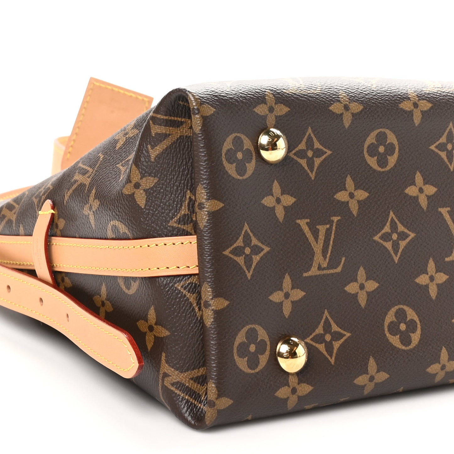 Monogram CarryAll PM
