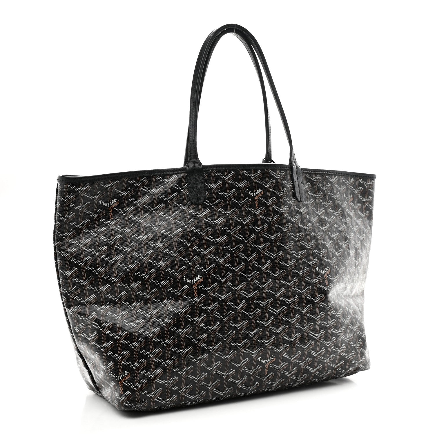 Goyard Goyardine Saint Louis PM Black 4 of 11