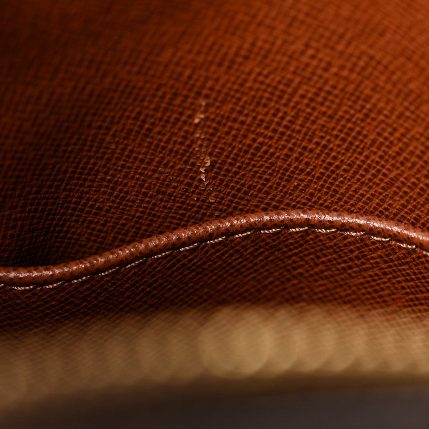 Louis Vuitton Monogram Danube 21 10 of 11