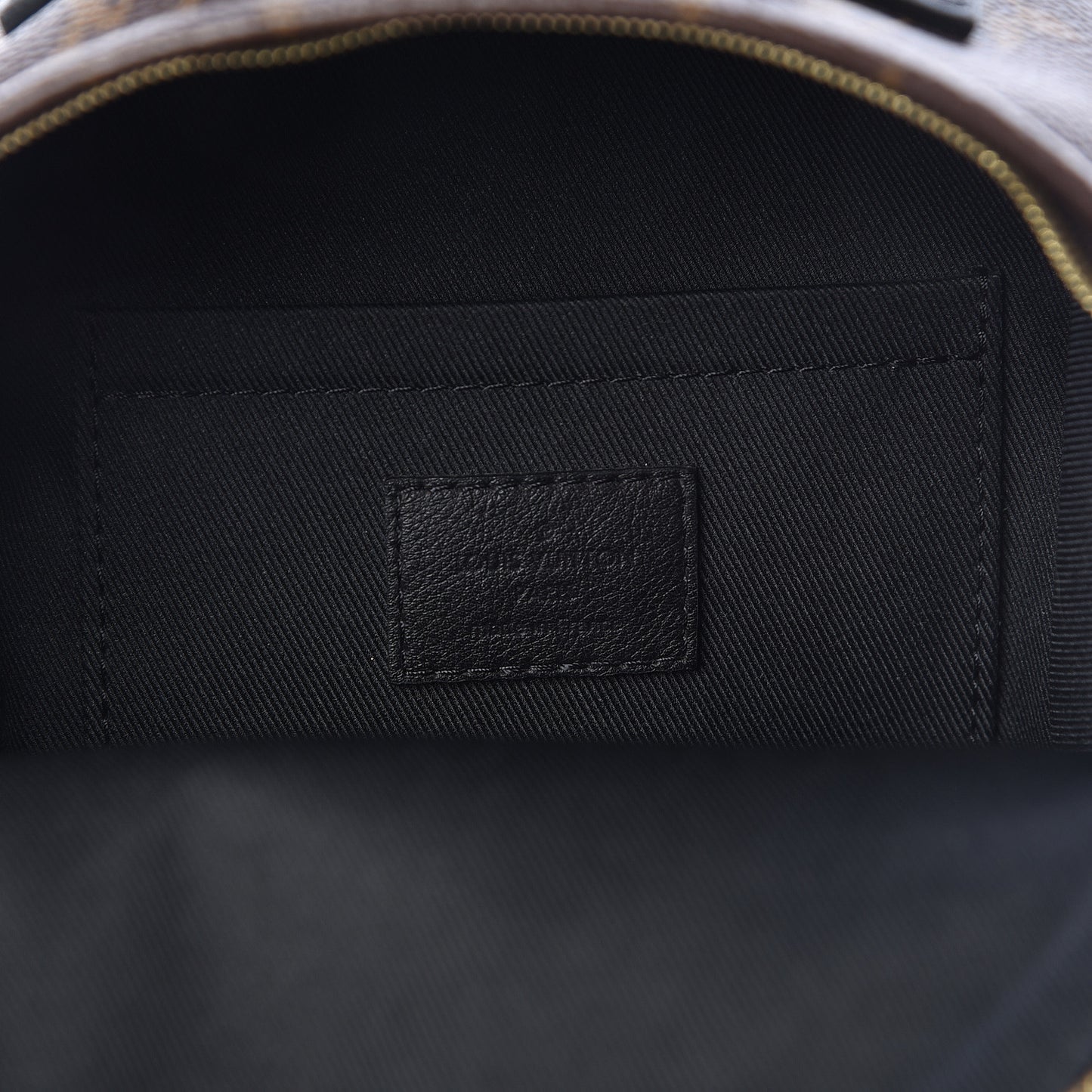 Monogram Palm Springs Backpack Mini