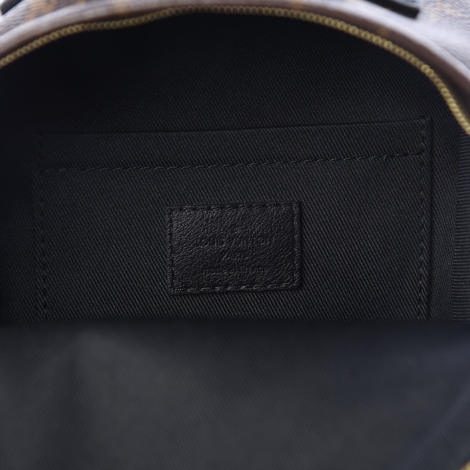Louis Vuitton Monogram Palm Springs Backpack Mini 6 of 15