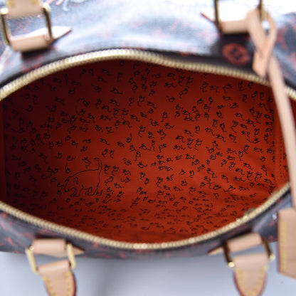 Louis Vuitton Catogram Speedy Bandouliere 30 Marron 5 of 7