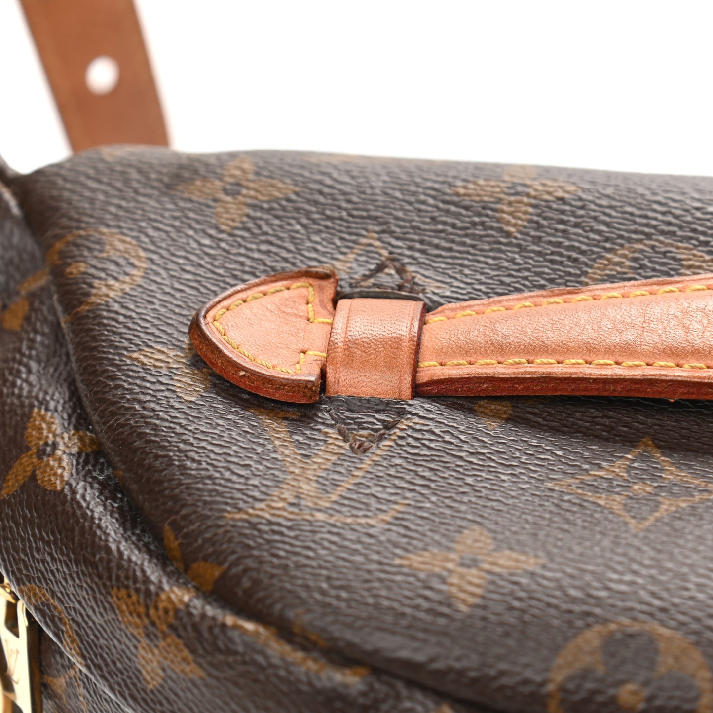 Monogram Bumbag