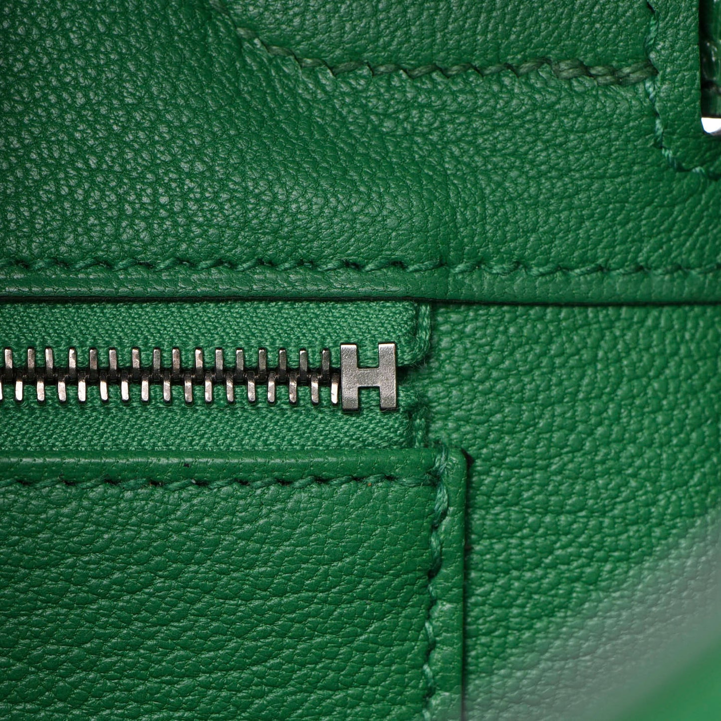 Togo Shiny Niloticus Crocodile Birkin Touch 30 Bamboo Cactus
