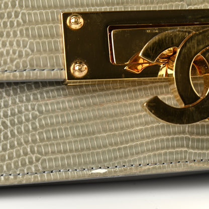 Chanel Lizard Golden Class Wallet on Chain WOC Grey 12 of 12