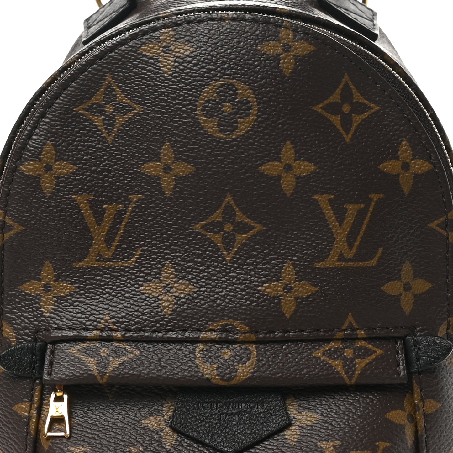 Monogram Palm Springs Backpack Mini