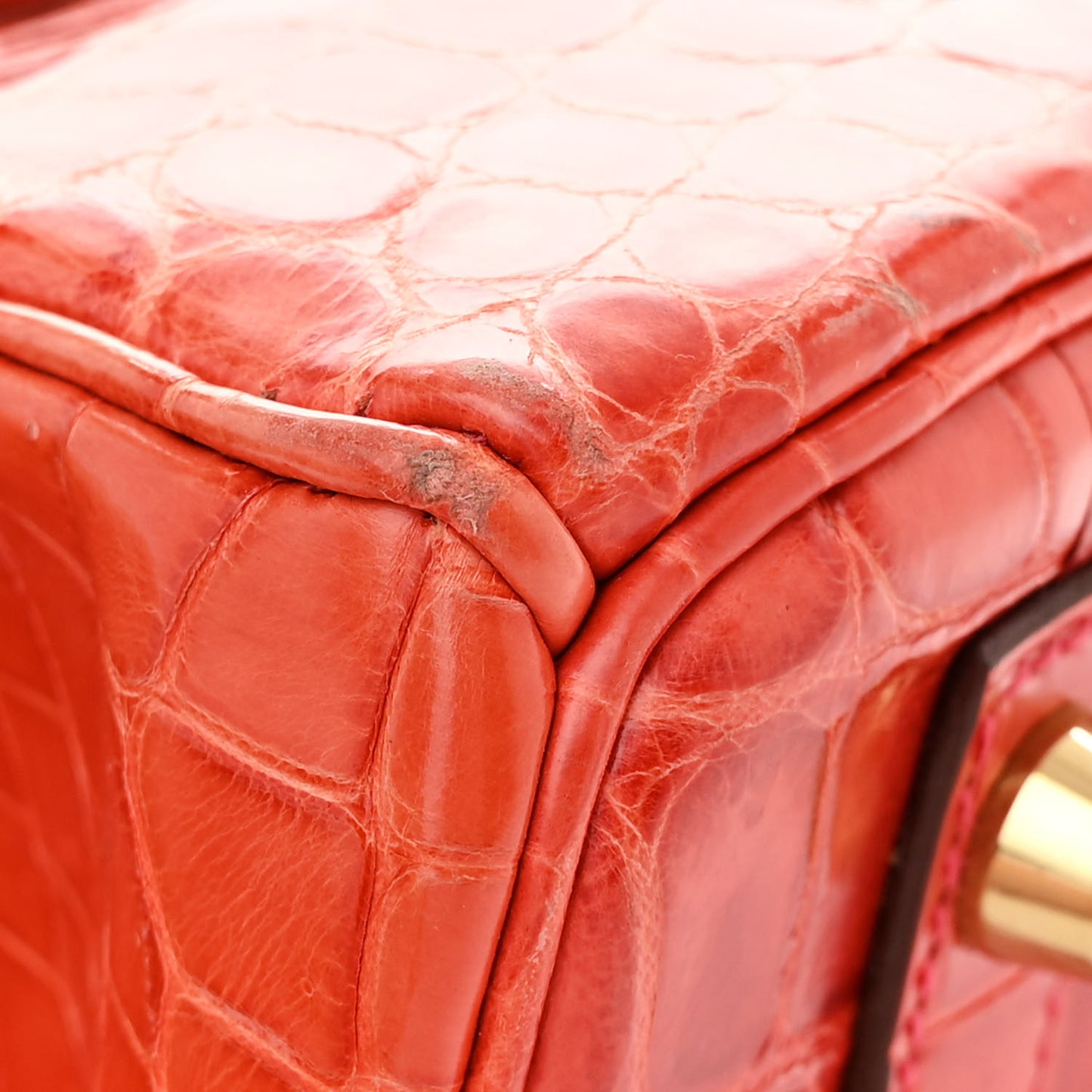 Shiny Niloticus Crocodile Birkin 30 Sanguine