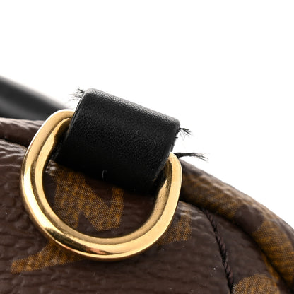 Louis Vuitton Monogram Palm Springs Backpack Mini 12 of 14