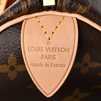 Louis Vuitton Monogram Speedy 25 6 of 10
