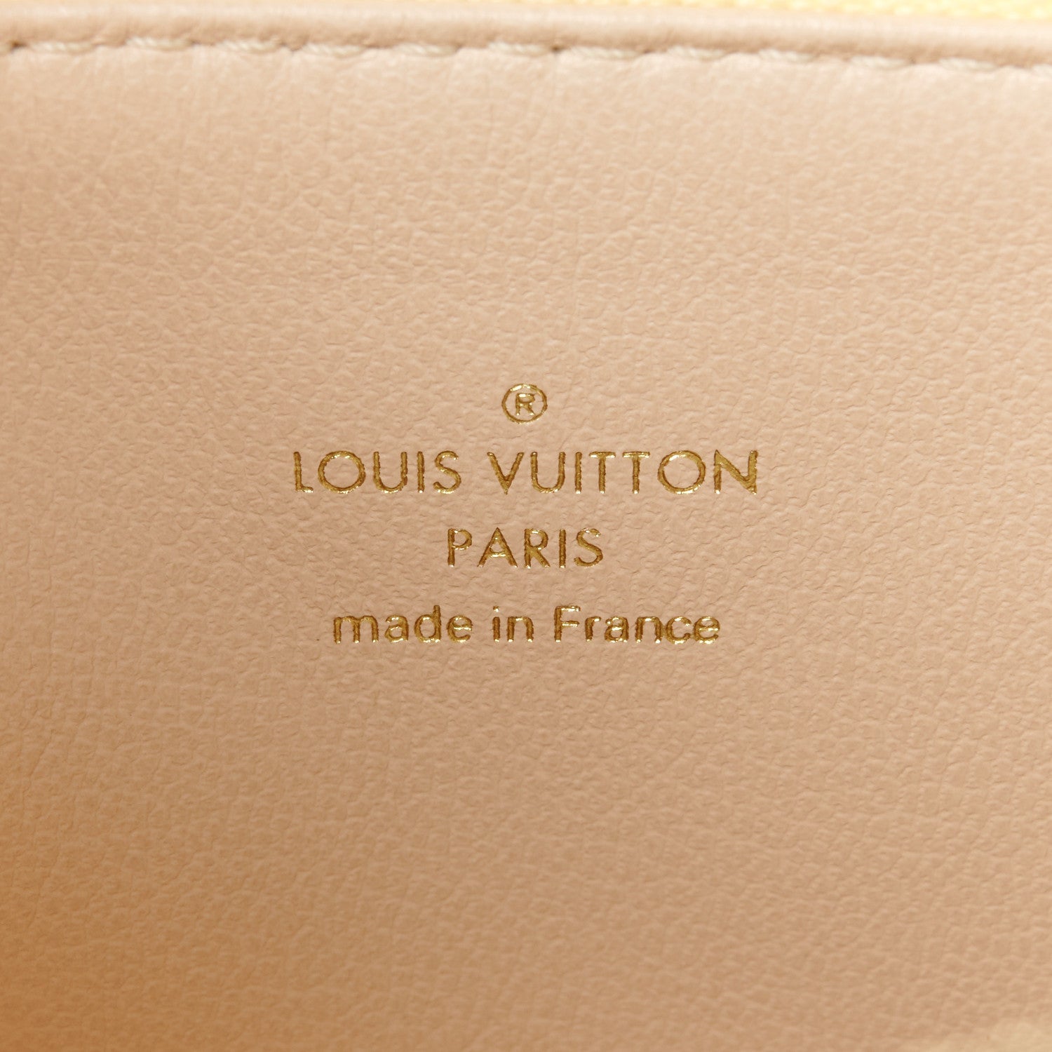 Louis Vuitton Lambskin Embossed Monogram Coussin PM Yellow 8 of 12