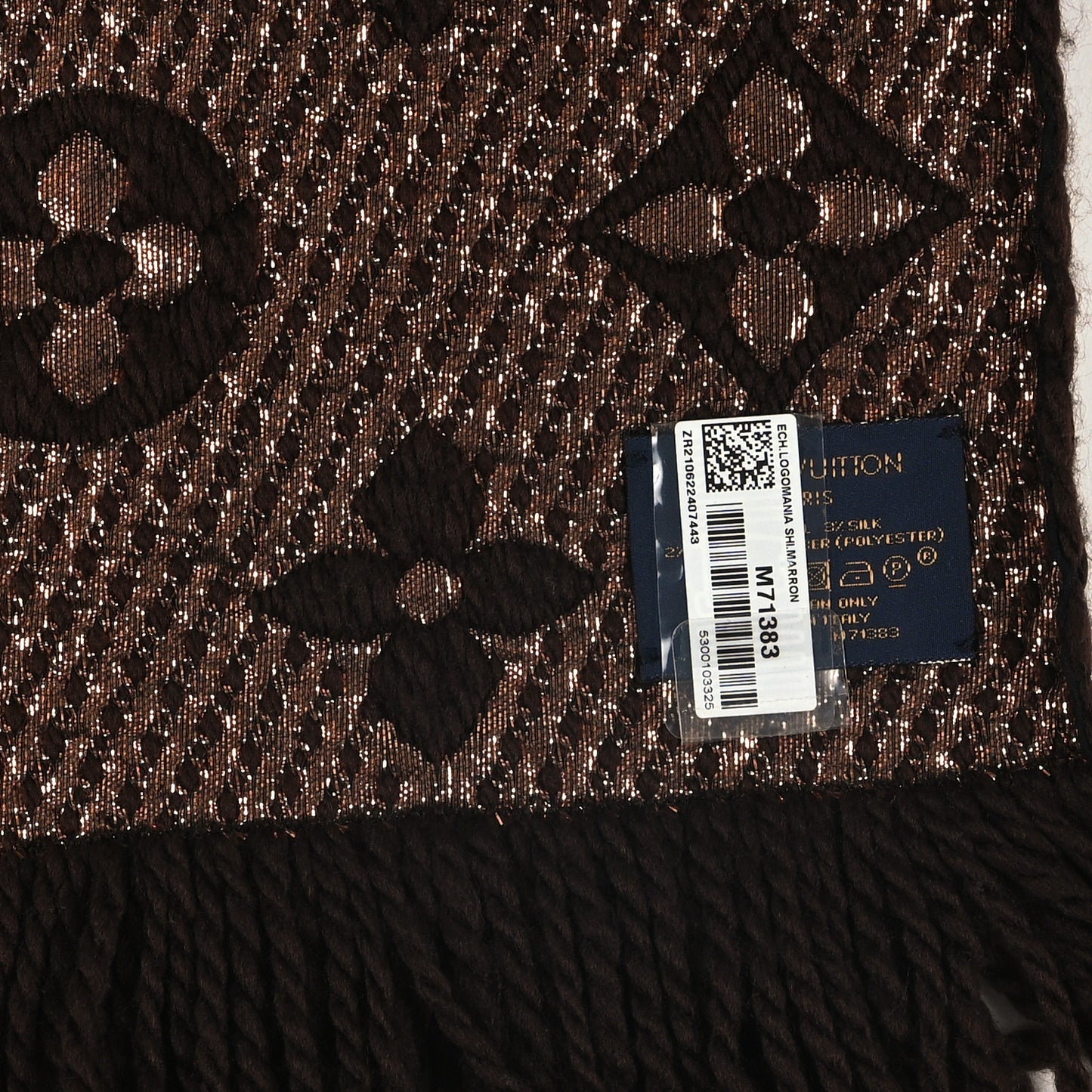 Wool Silk Logomania Shine Scarf Marron