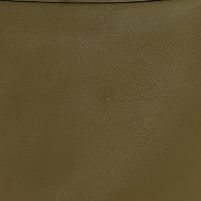 Fendi Vitello Seta Shiny Nappa Medium Peekaboo I SEE U Satchel Avocado Light Rose 12 of 12