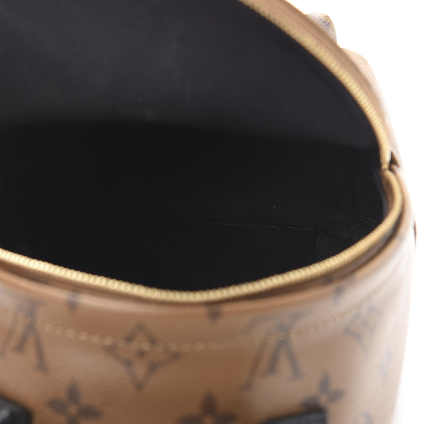 Reverse Monogram Palm Springs Backpack Mini