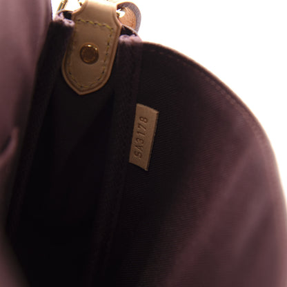 Louis Vuitton Monogram Favorite MM 9 of 11