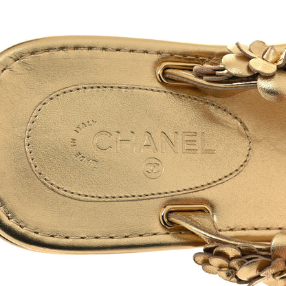 Chanel Laminated Lambskin Camellia Thong Sandals 38 Gold 8 of 8