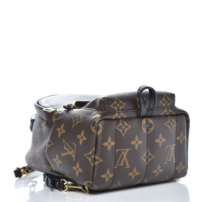 Louis Vuitton Monogram Palm Springs Backpack Mini 4 of 9