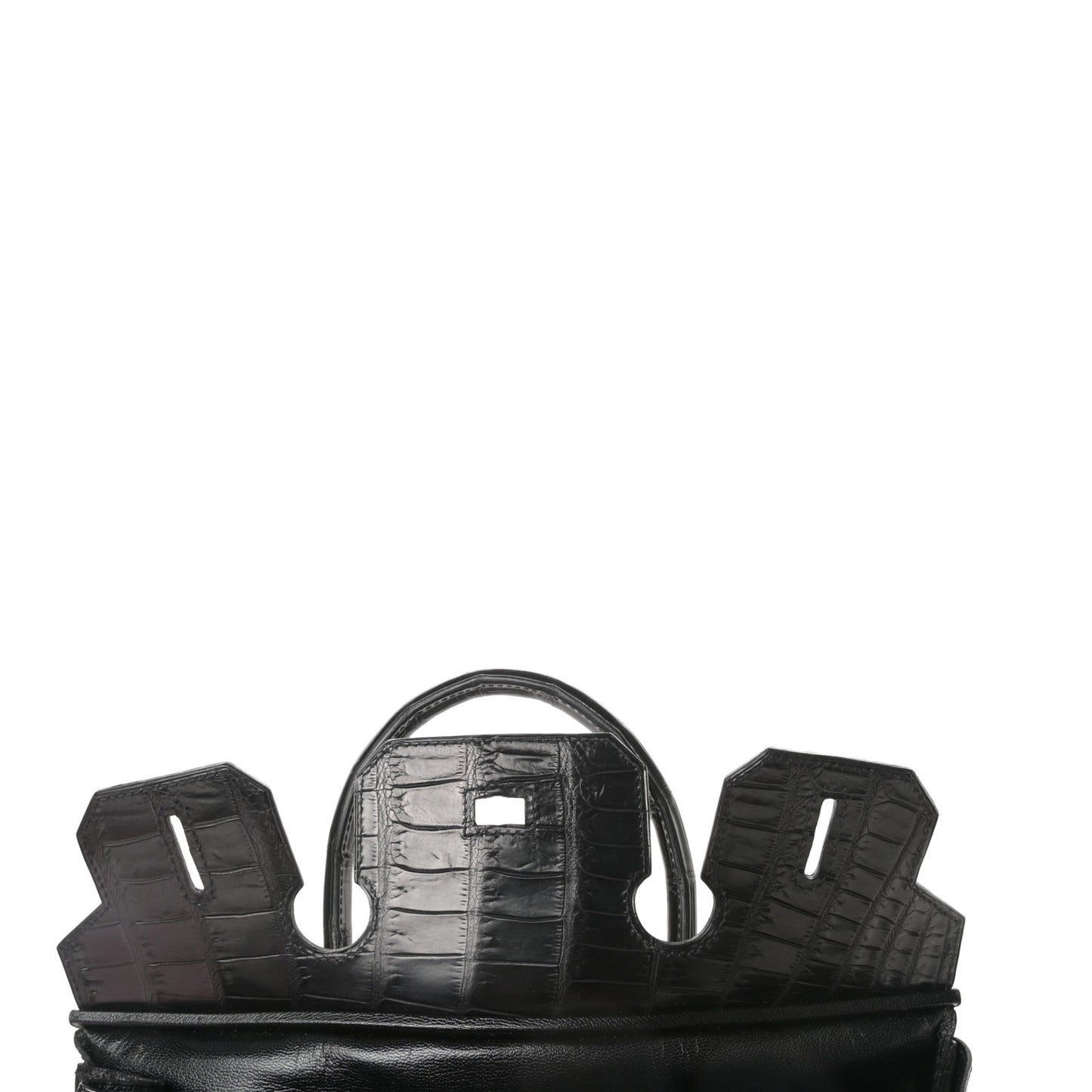 Matte Niloticus Crocodile Birkin 30 Black