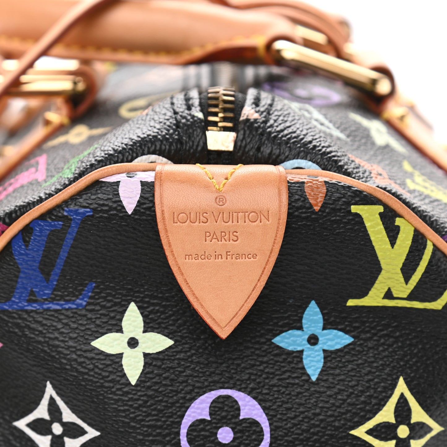 Monogram Multicolor Speedy 30 Black