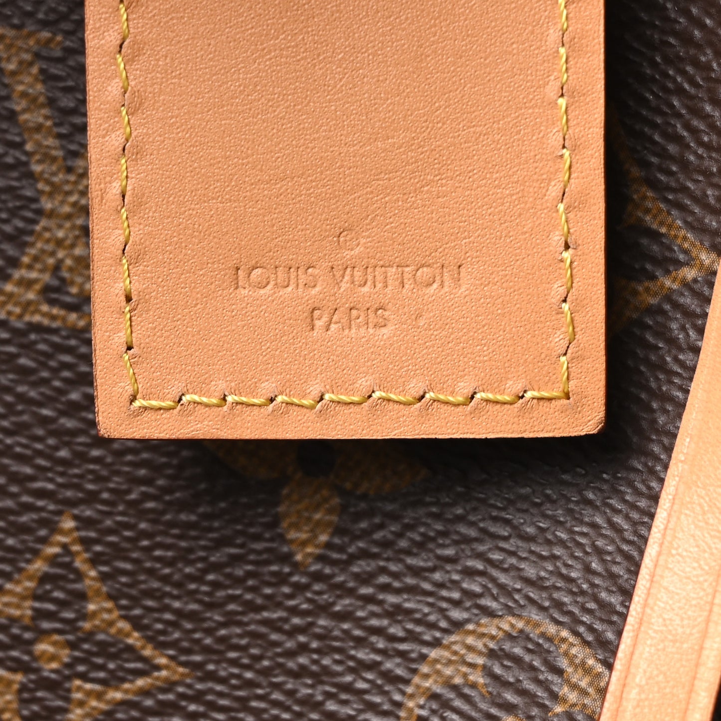 Monogram Carryall PM