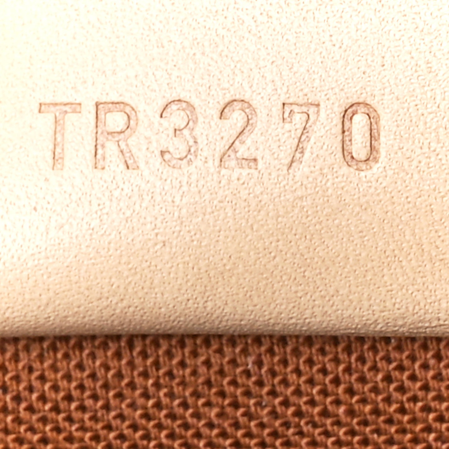 Monogram Nano Speedy