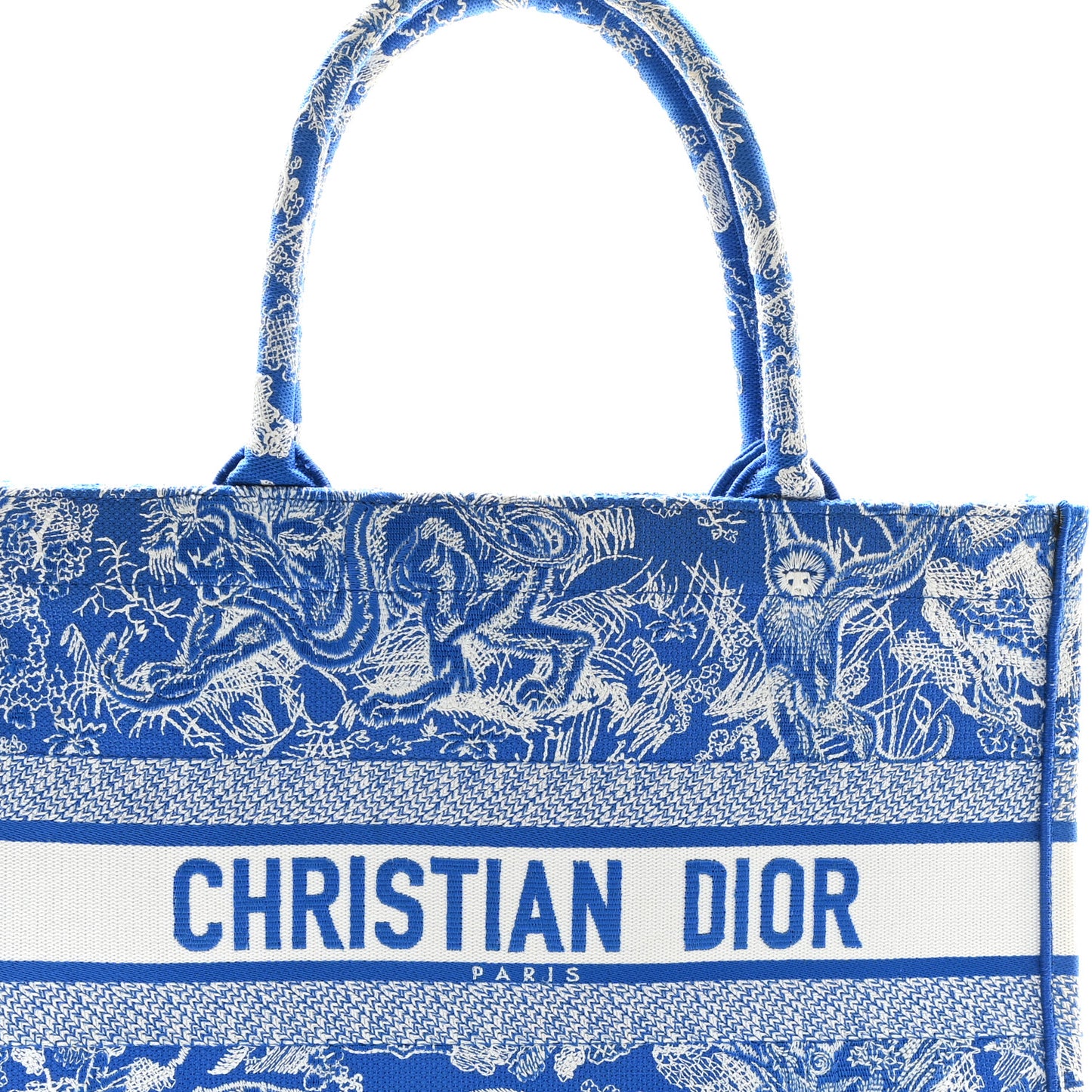 Canvas Embroidered Medium Dioriviera Toile De Jouy Book Tote Fluorescent Blue