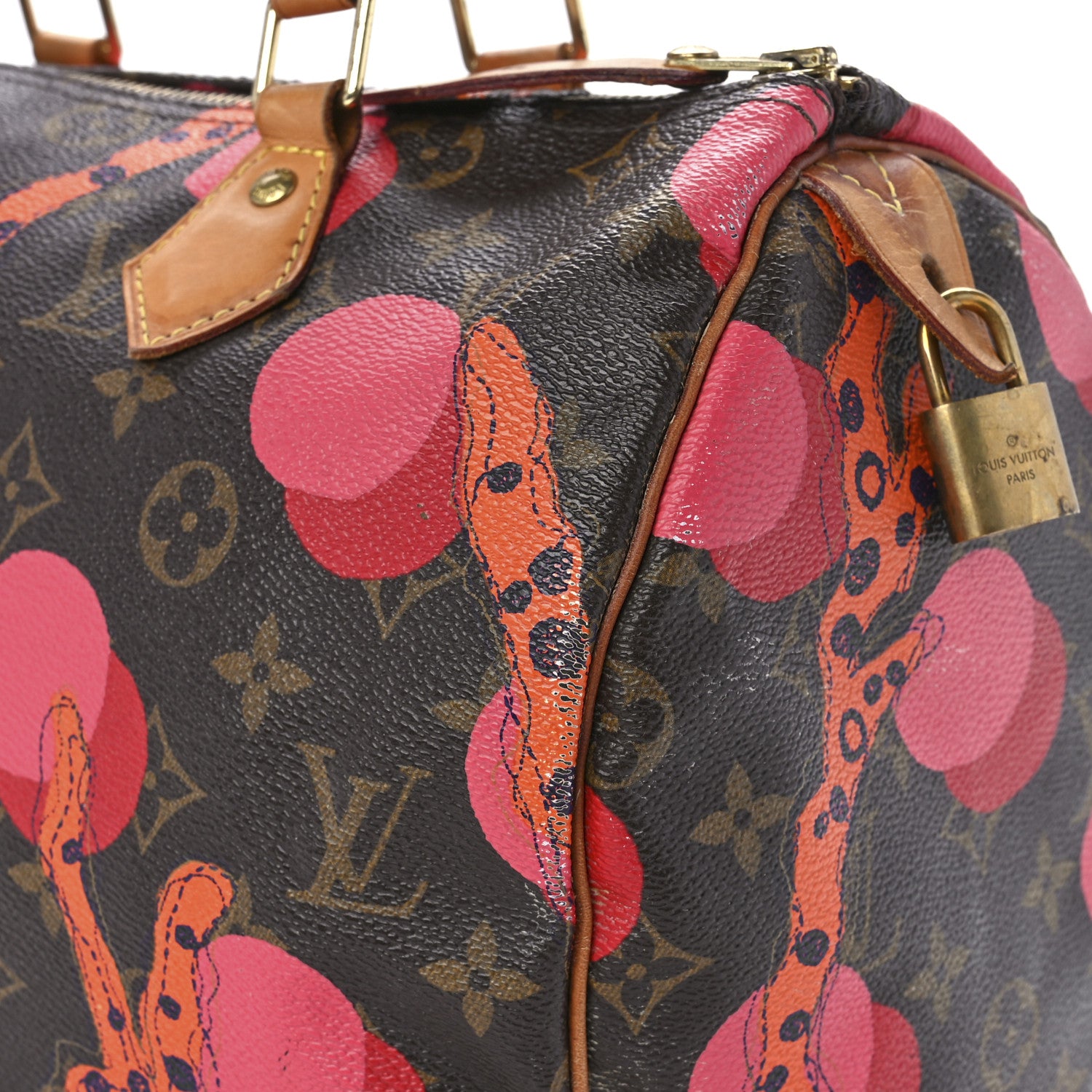 Louis Vuitton Monogram Ramages Speedy 30 Grenade 15 of 16
