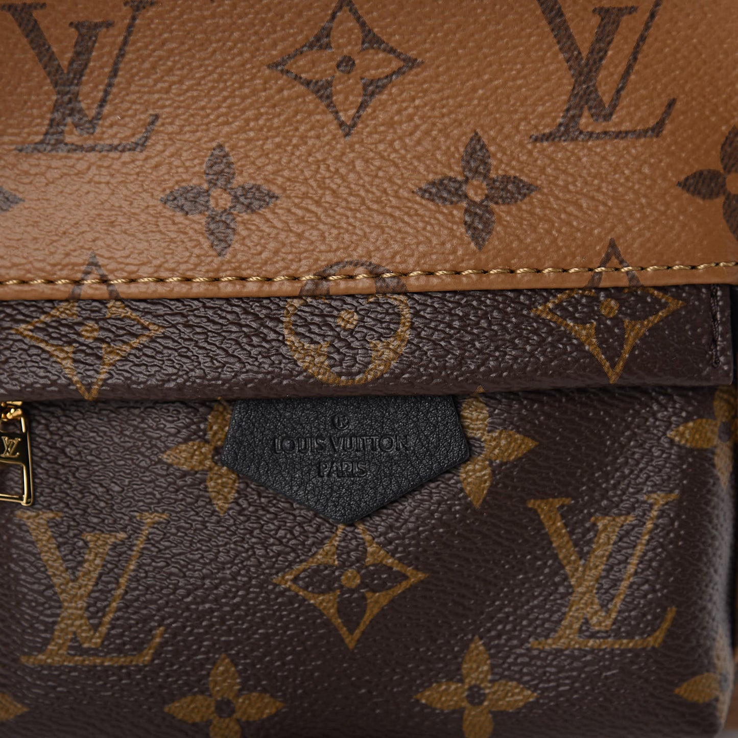 Reverse Monogram Palm Springs Backpack Mini