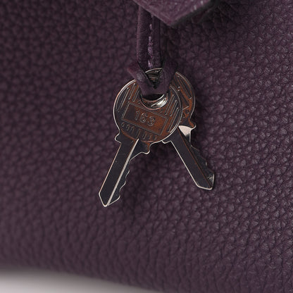 Hermes Togo Birkin 25 Raisin 31 of 34