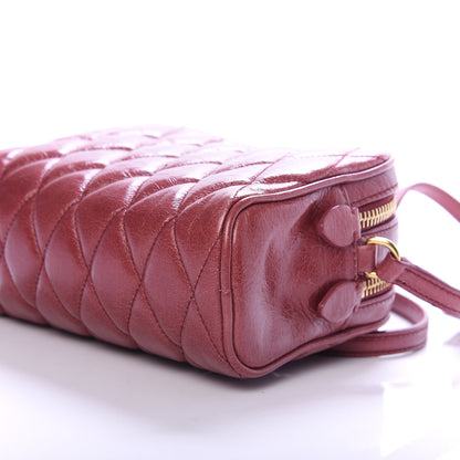 Miu Miu Vitello Shine Quilted Camera Bag Bruyere 9 of 9