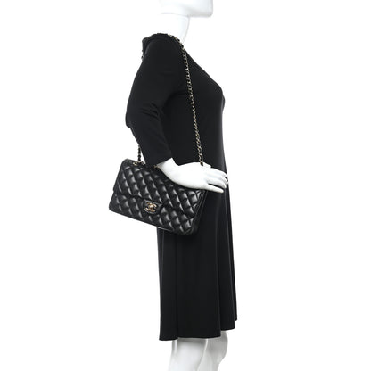 Chanel Lambskin Quilted Medium Double Flap Black 2 of 16
