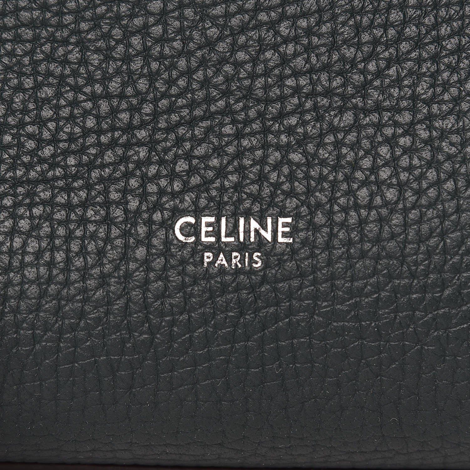 Celine Supple Grained Calfskin Small Big Bag Amazone 6 of 9