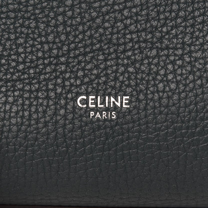 Celine Supple Grained Calfskin Small Big Bag Amazone 6 of 9