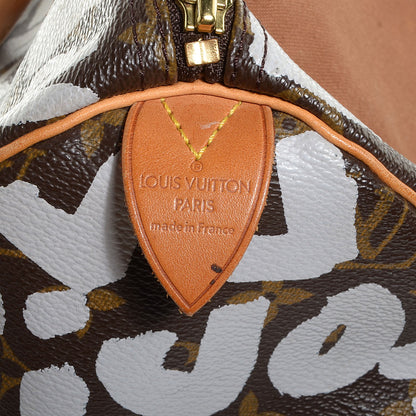 Louis Vuitton Monogram Graffiti Speedy 30 Silver 7 of 7