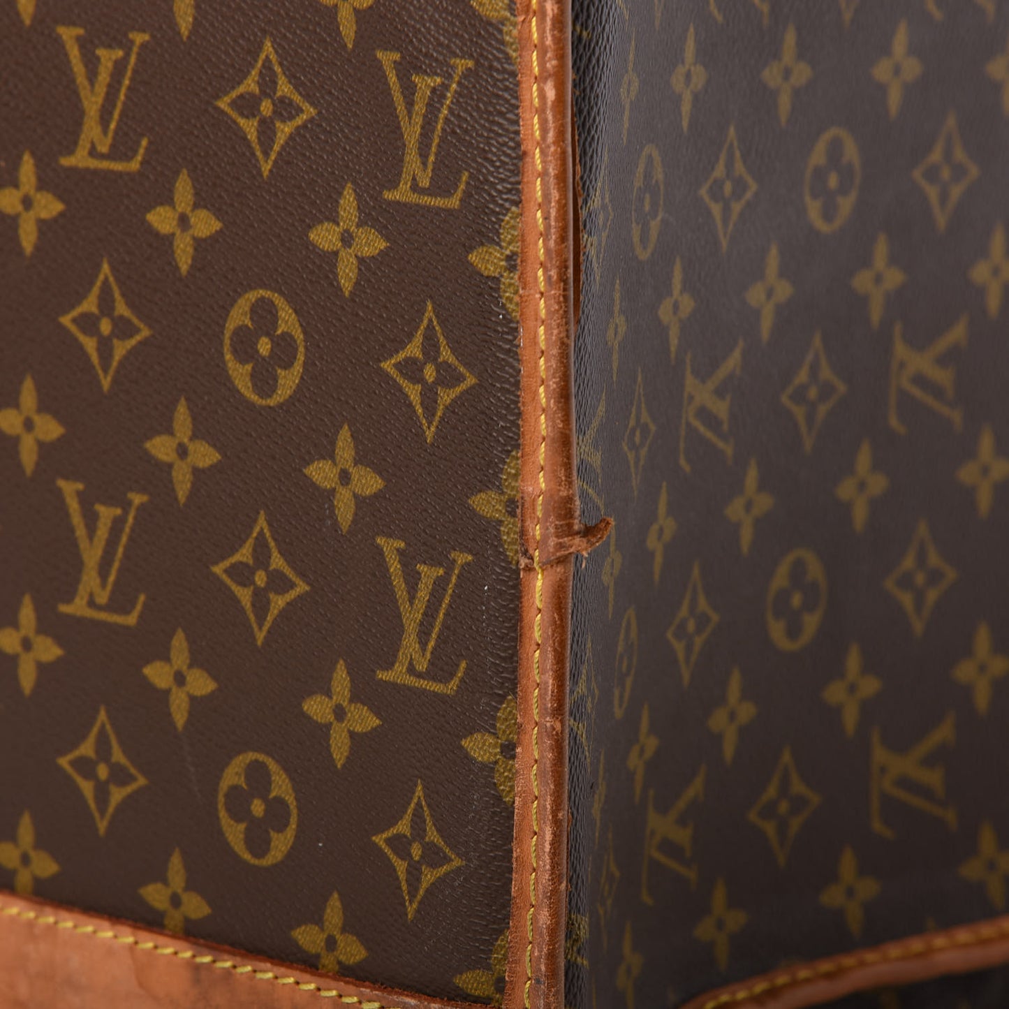 Monogram Sac Chaussures Shoes Carrier Case GM