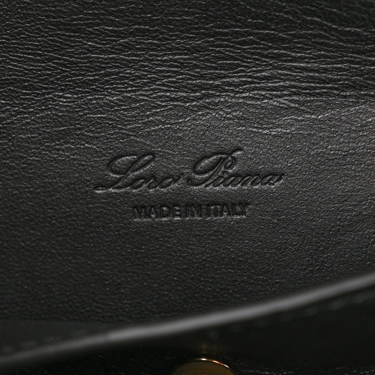 Loro Piana Ostrich Extra Bag L27 Black 6 of 10