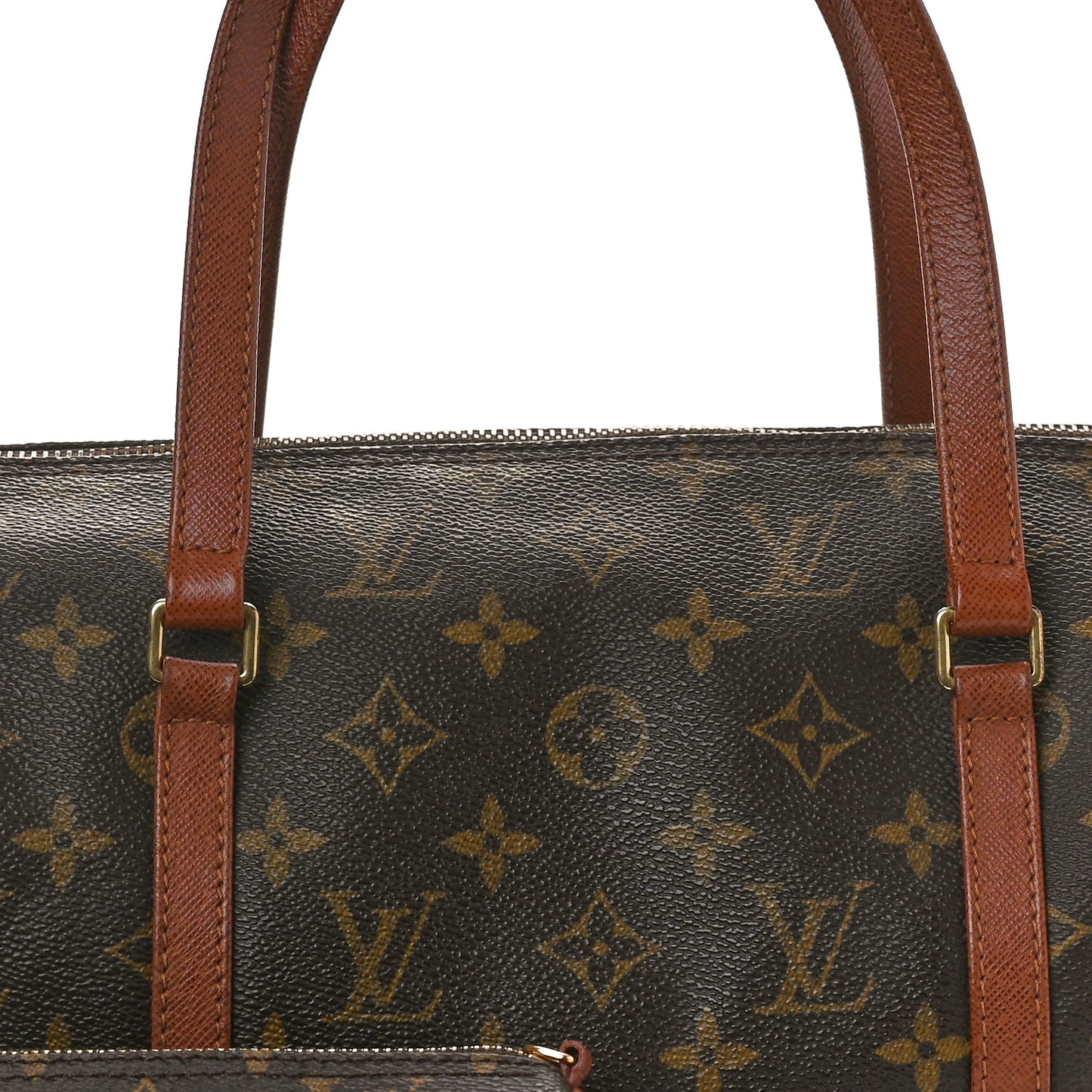 Monogram Papillon 30 with Companion