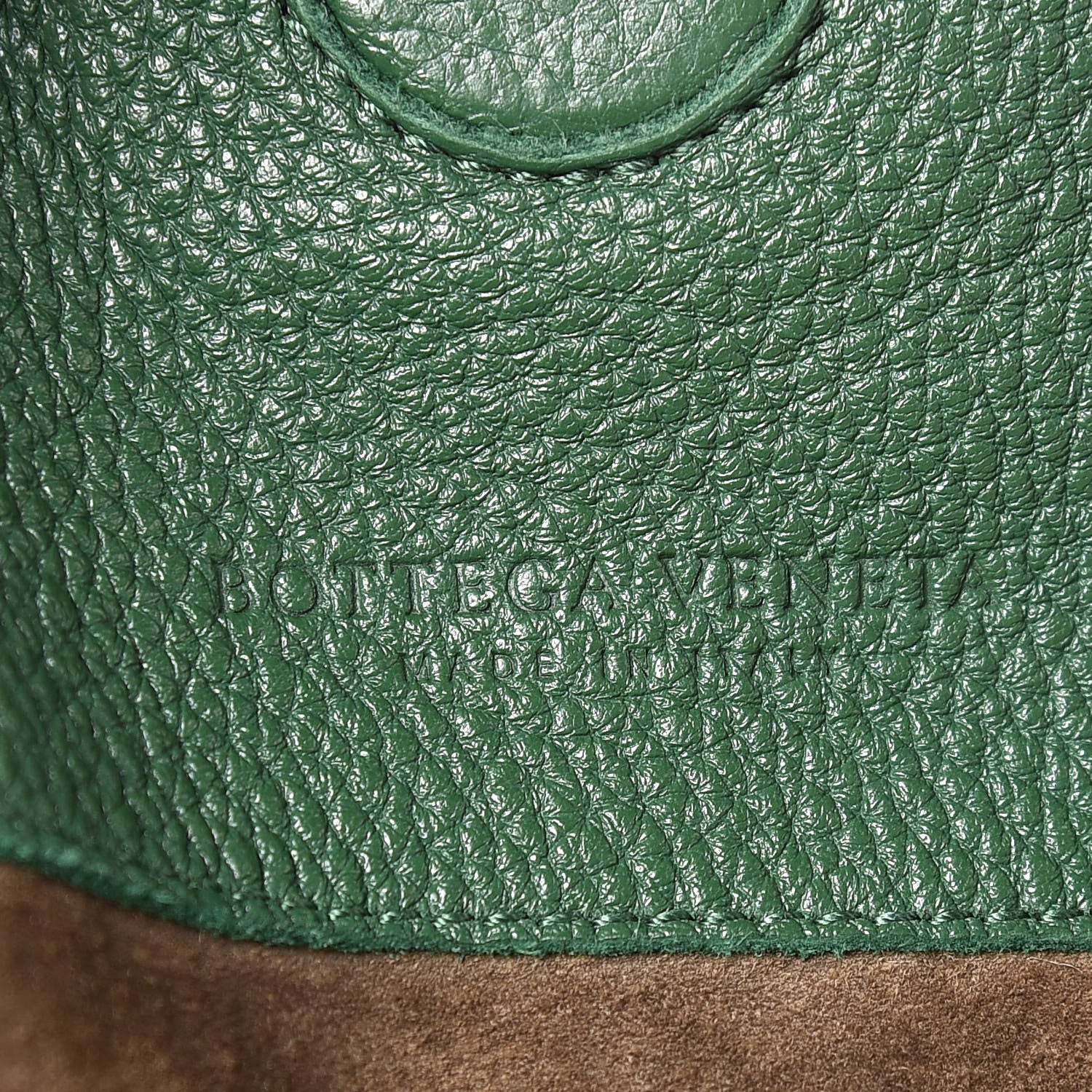 Bottega Veneta Washed Cervo Deerskin Large Hobo Green 9 of 10