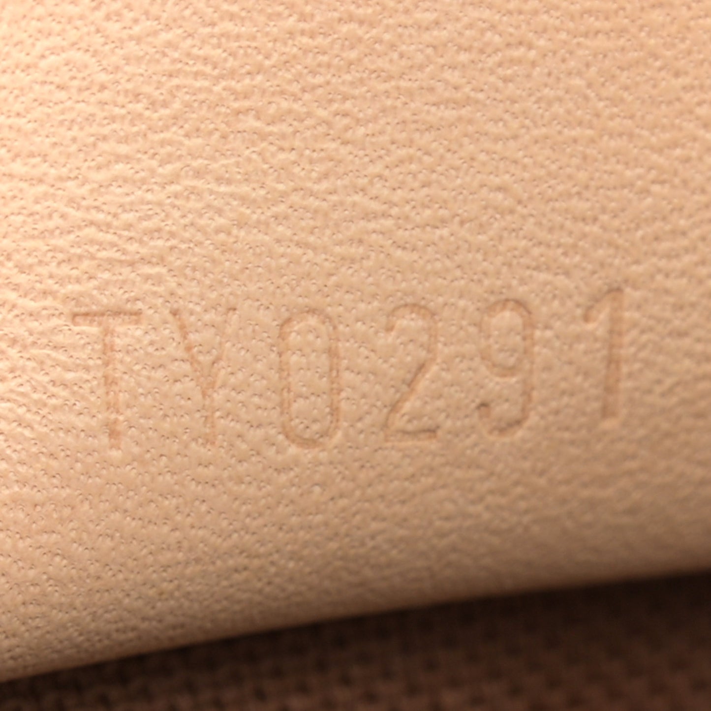 Monogram Nano Speedy