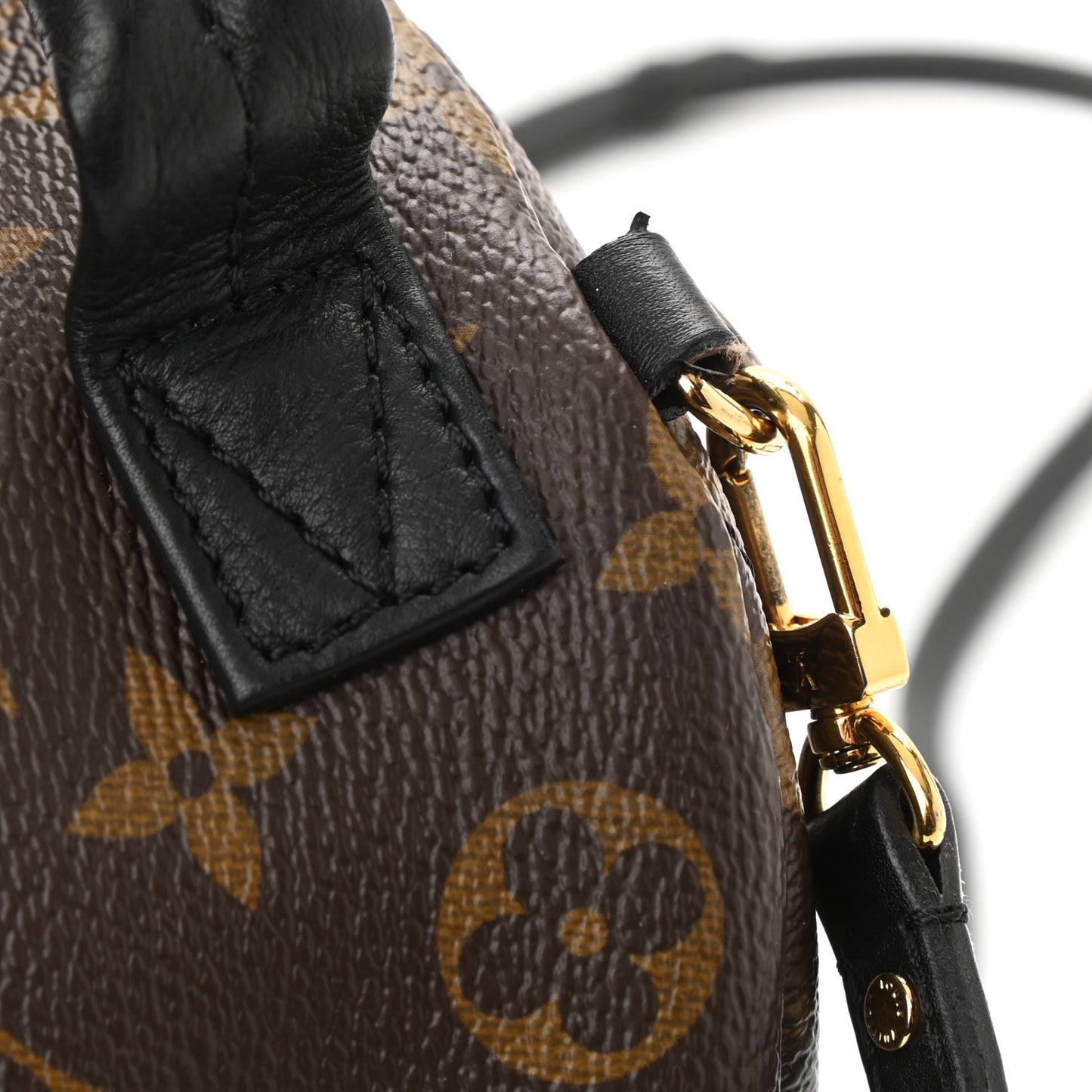 Monogram Palm Springs Backpack Mini