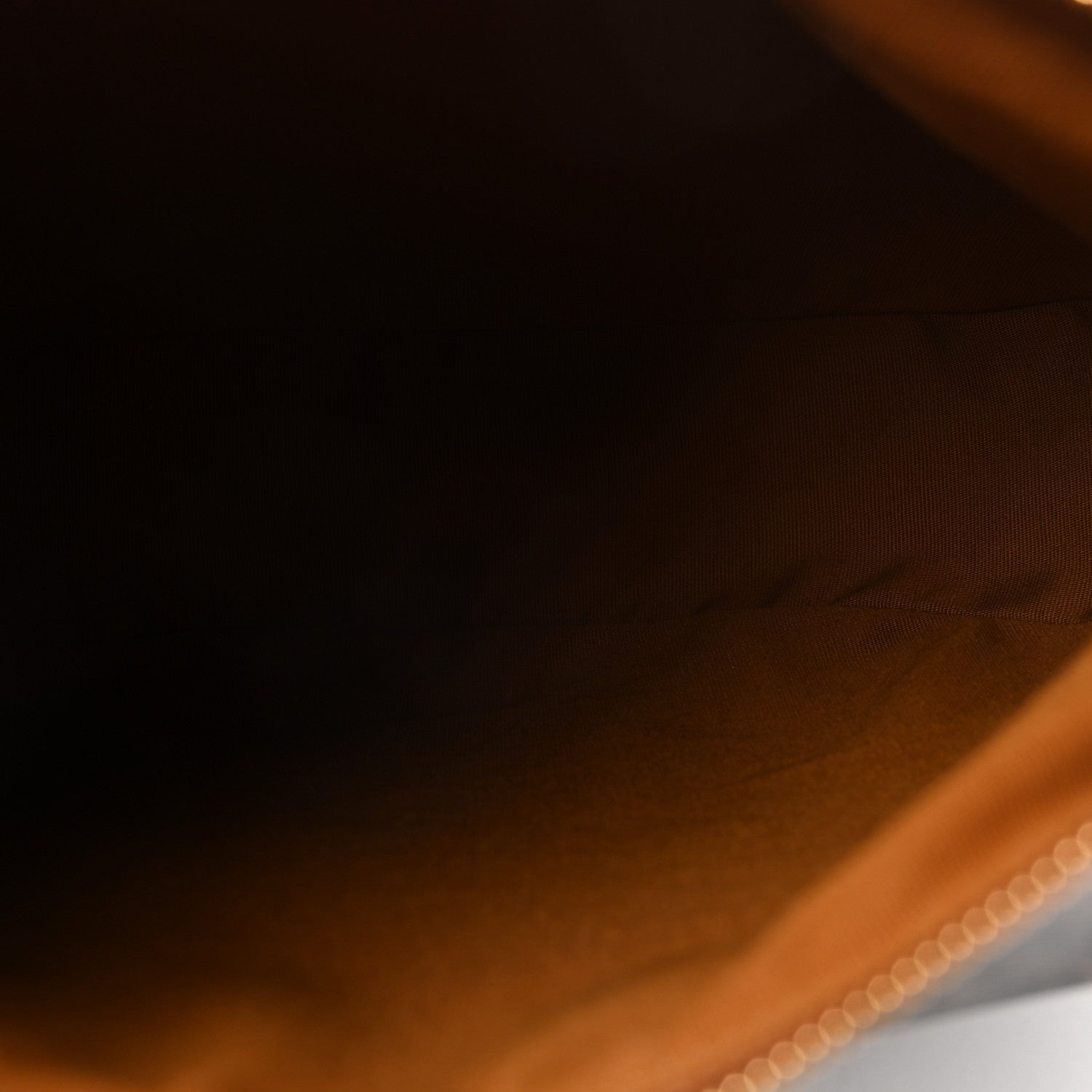 Celine Calfskin Triomphe Canvas Heloise Shoulder Bag Tan 5 of 9