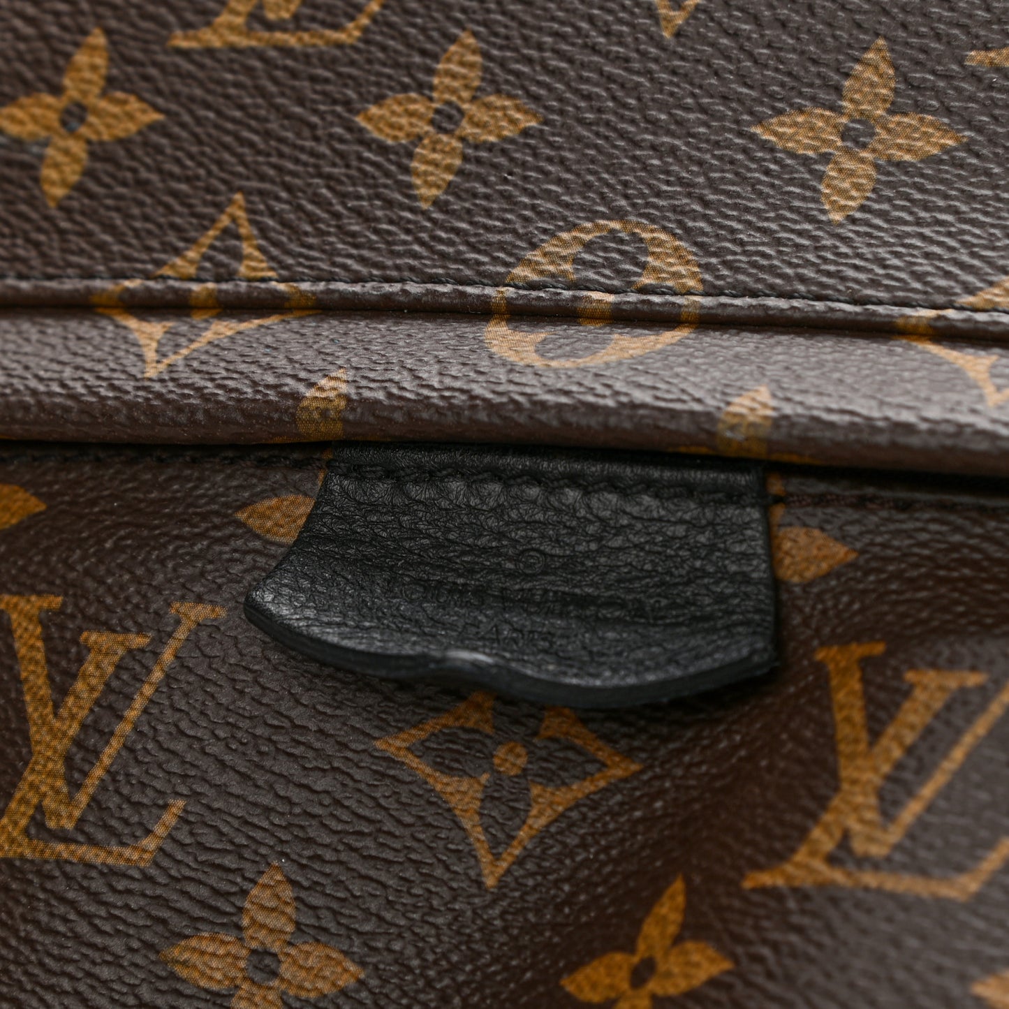 Monogram Palm Springs Backpack MM