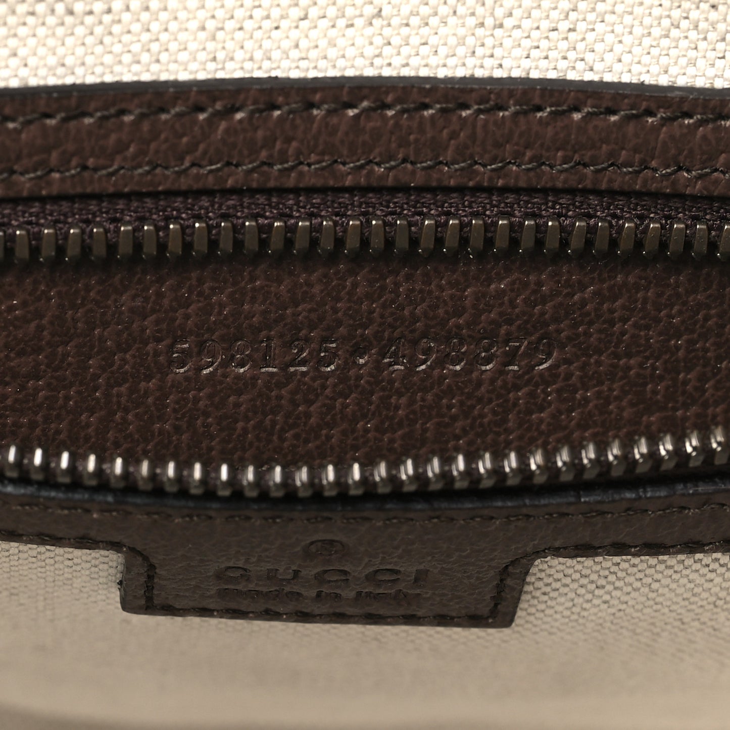 GG Supreme Monogram Web Small Ophidia Half Moon Hobo Brown