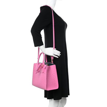 Louis Vuitton Ostrich City Steamer PM Rose 2 of 11