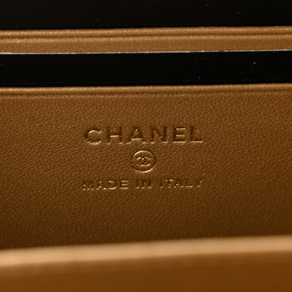 Chanel Lambskin Quilted CC Pearl Crush Camera Case Beige 6 of 11