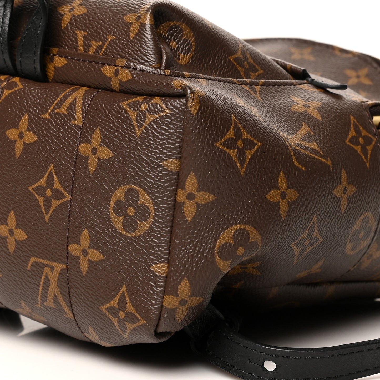 Monogram Palm Springs Backpack PM