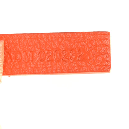 Goyard Goyardine Saint Louis PM Orange 8 of 10
