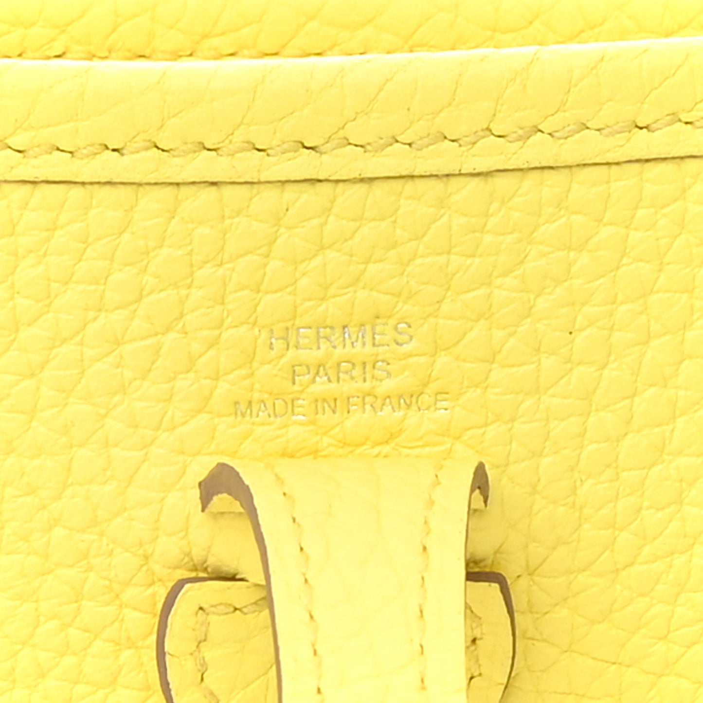 Taurillon Clemence Evelyne TPM Limoncello