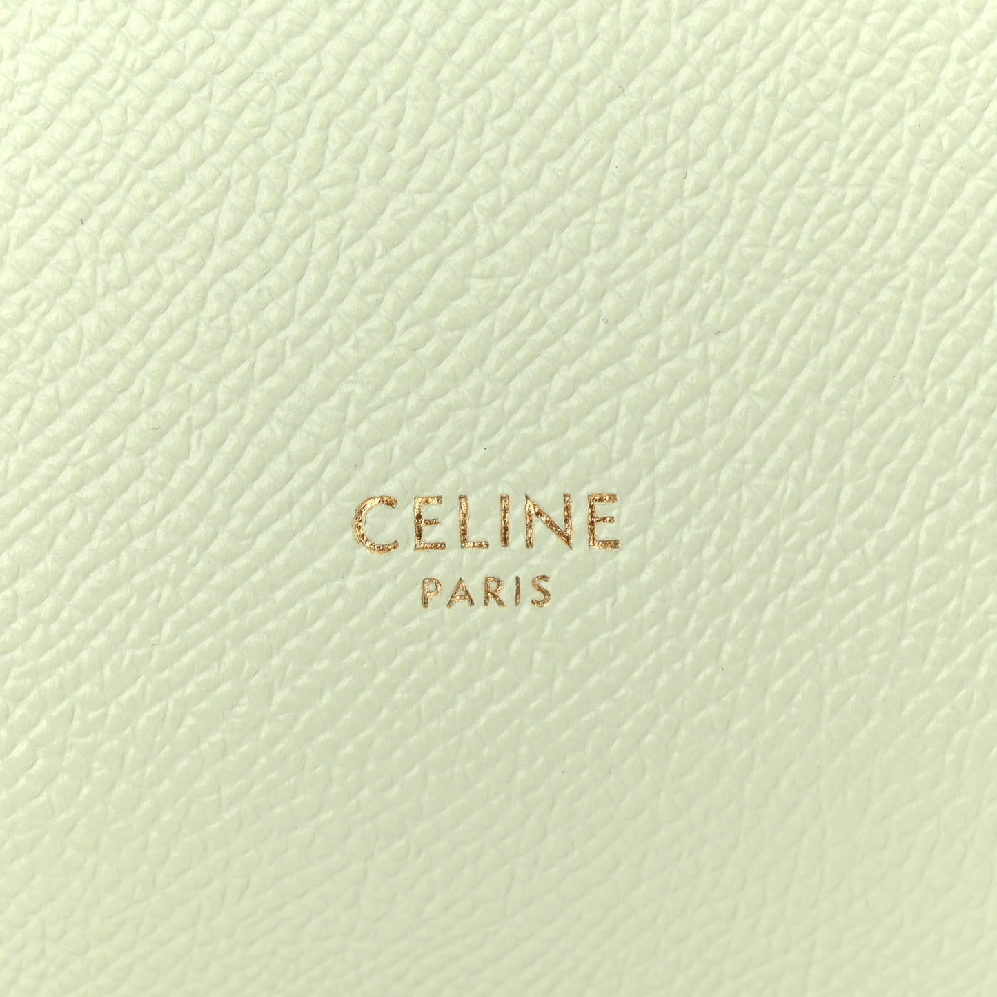 Grained Calfskin Nano Belt Bag Jade
